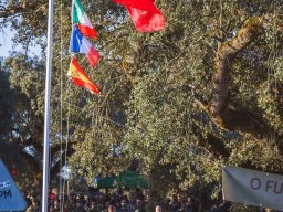 2023-09-29 SALAMANDRA II